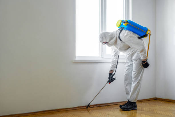 Best Real Estate Pest Inspections  in Tarboro, NC